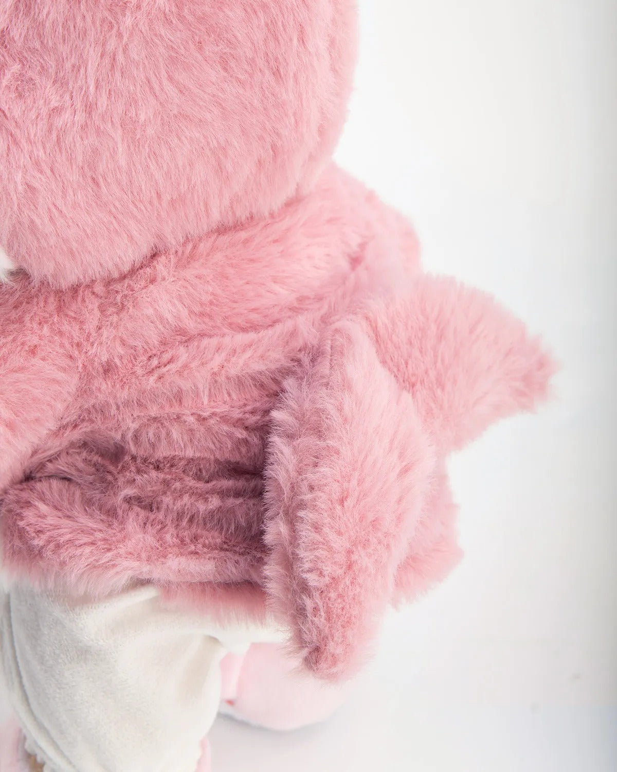 REQUINE | TEDDY MY BEARS